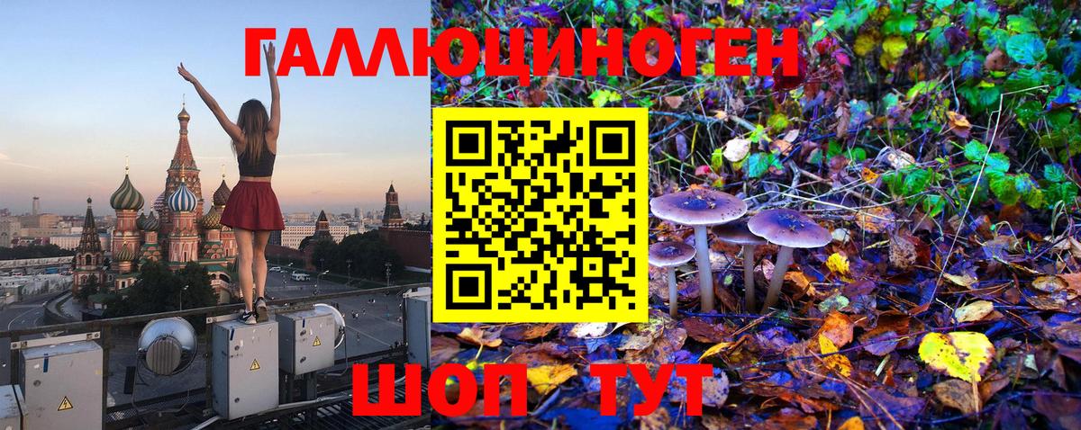 Амурск  Галлюциногенные грибы Magic Shrooms  Вход с VPN 